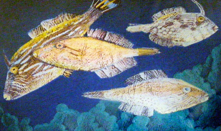 a coloured pencil sketch of Leatherjacket fish from under the Busselton Jetty