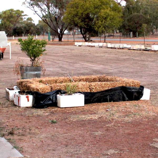 many bales of hay in a square, the haybale garden takes shape