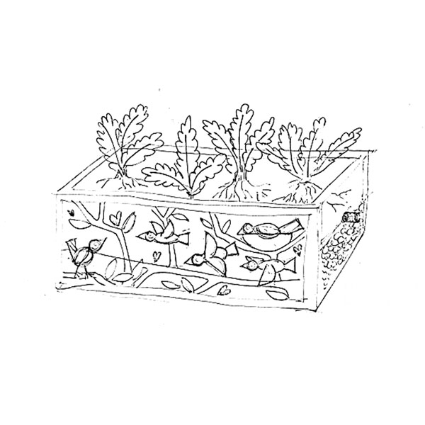 a sketch drawing of the planned wicking bed garden
