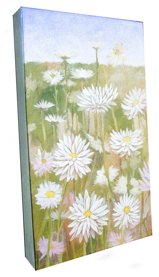 Everlastings is a painting with the white pink daisy shaped flower in various stages of closeness fading into t