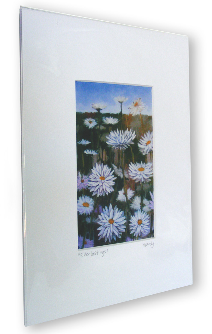 Everlastings is a painting with the white pink daisy shaped flower in various stages of closeness fading into t